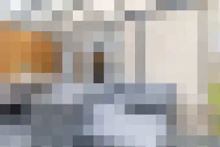 Ketelbuter 1 Nuth thumbnail 27