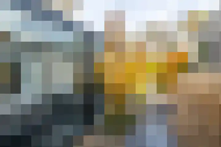Ketelbuter 1 Nuth thumbnail 32