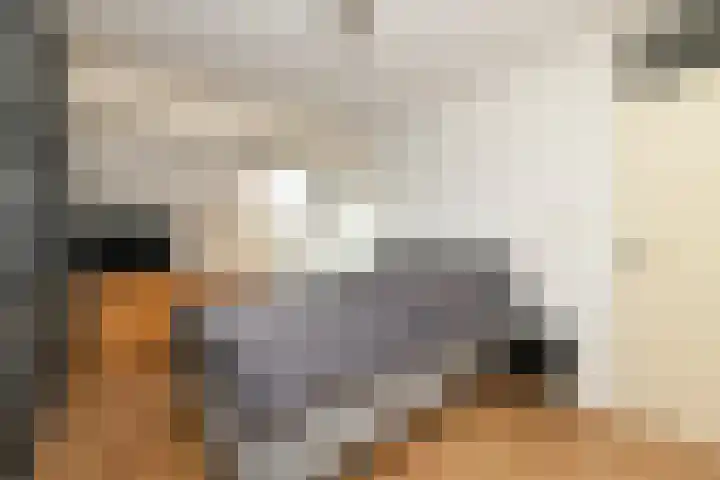 Keteldiep 27 Zeewolde thumbnail 10