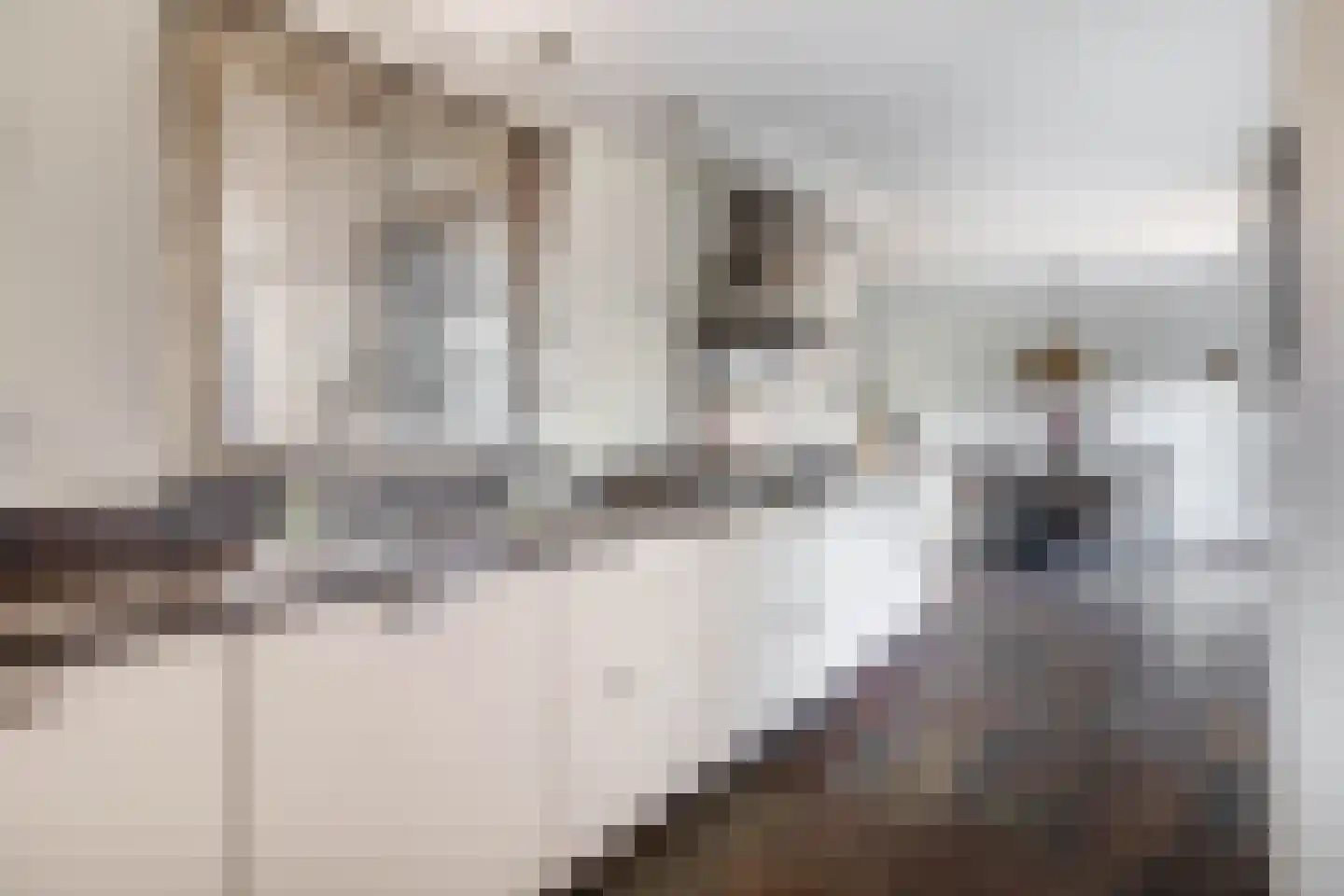 Keteldiep 33 Kaatsheuvel thumbnail 4