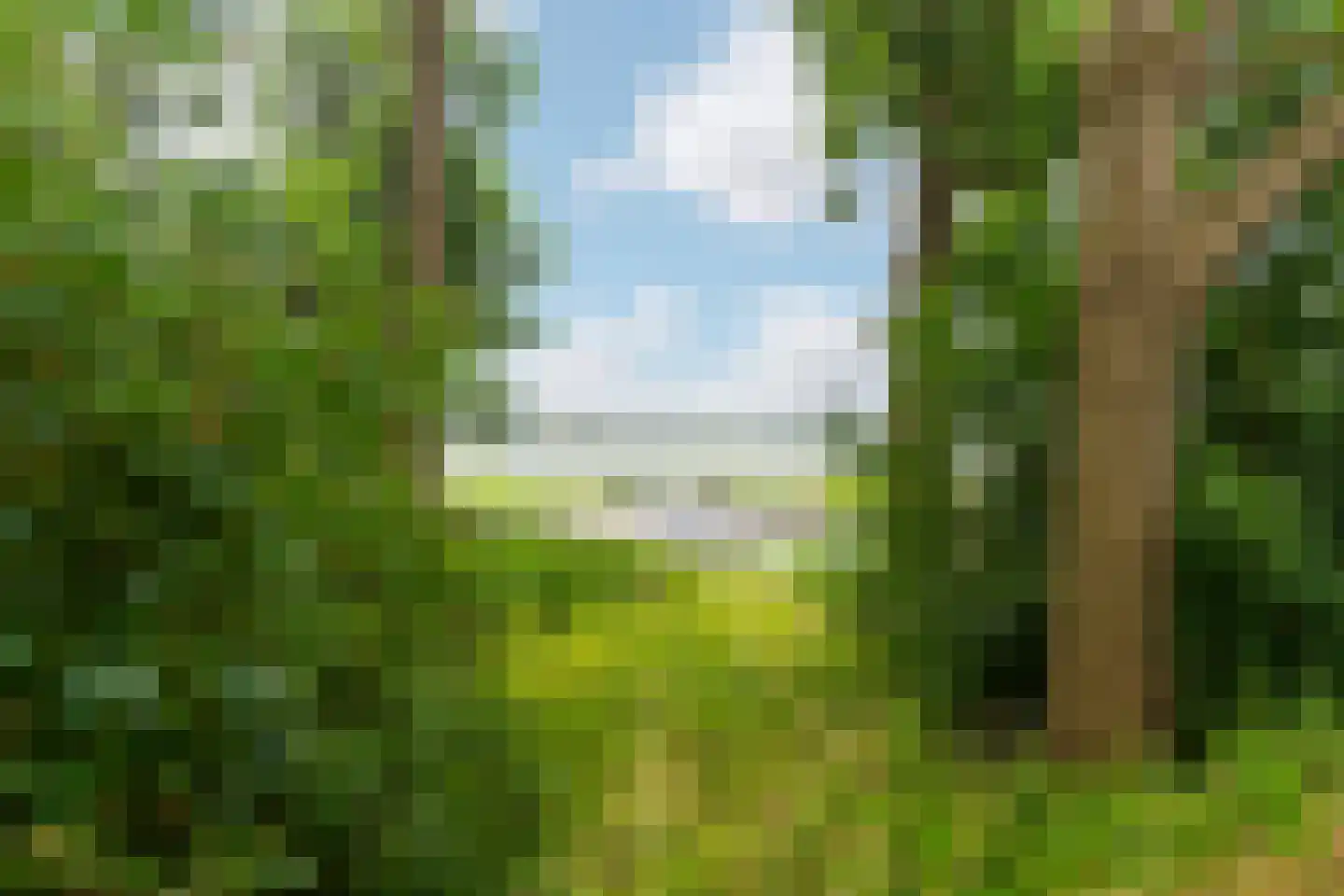 Keteldiep 38 Dordrecht thumbnail 42
