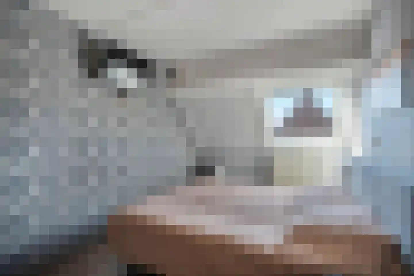 Keteldiep 47 Zeewolde thumbnail 32
