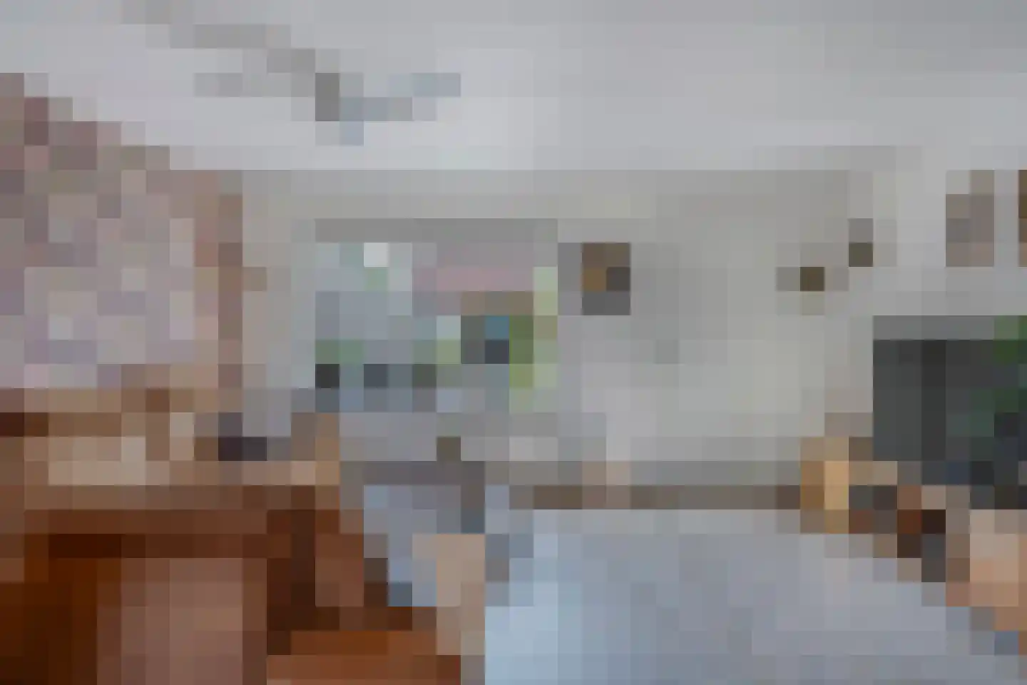 Keteldiep 47 Zeewolde thumbnail 8
