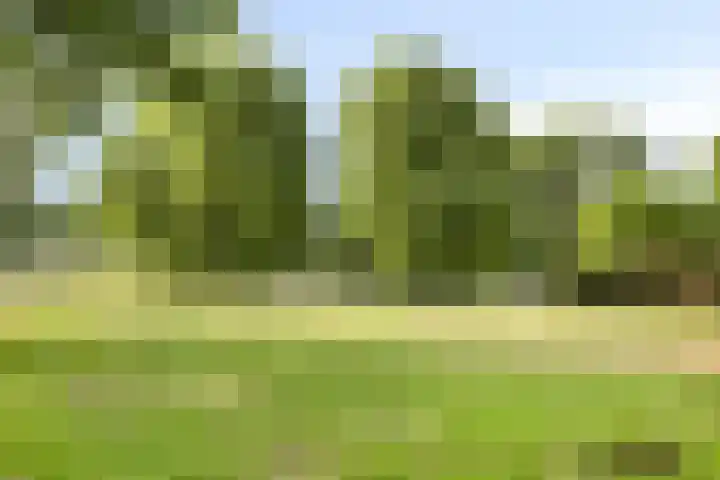 Keteldiep 7 Lelystad thumbnail 29