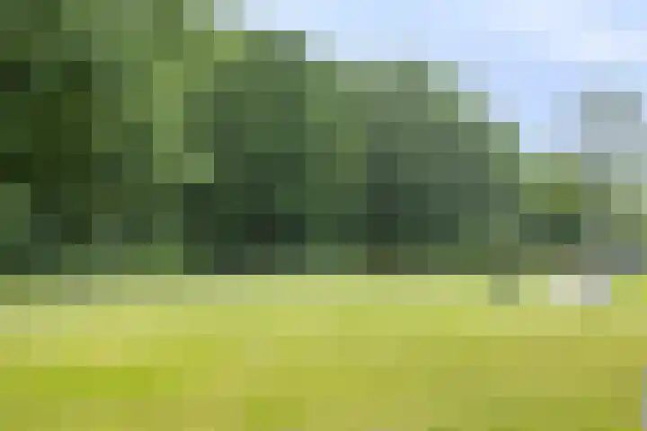 Keteldiep 7 Lelystad thumbnail 30
