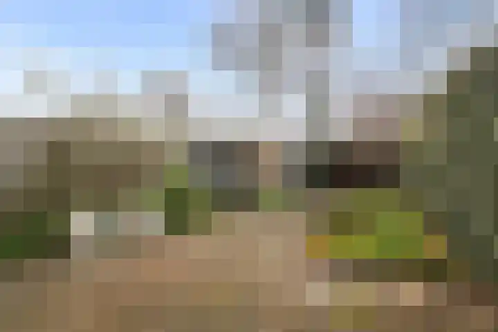 Keteldiepstraat 26 Den Helder thumbnail 12