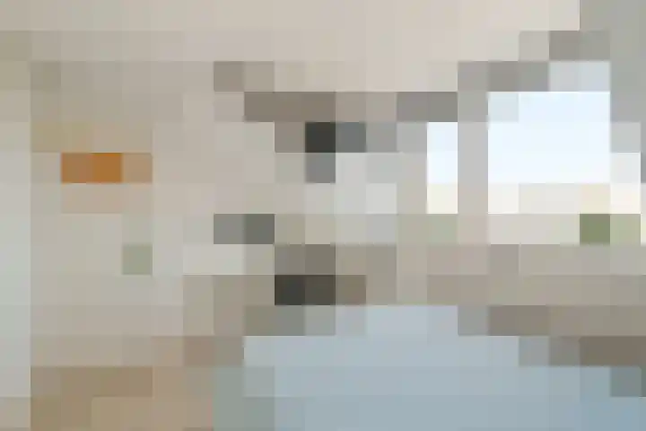 Keteldiepstraat 40 Den Helder thumbnail 37