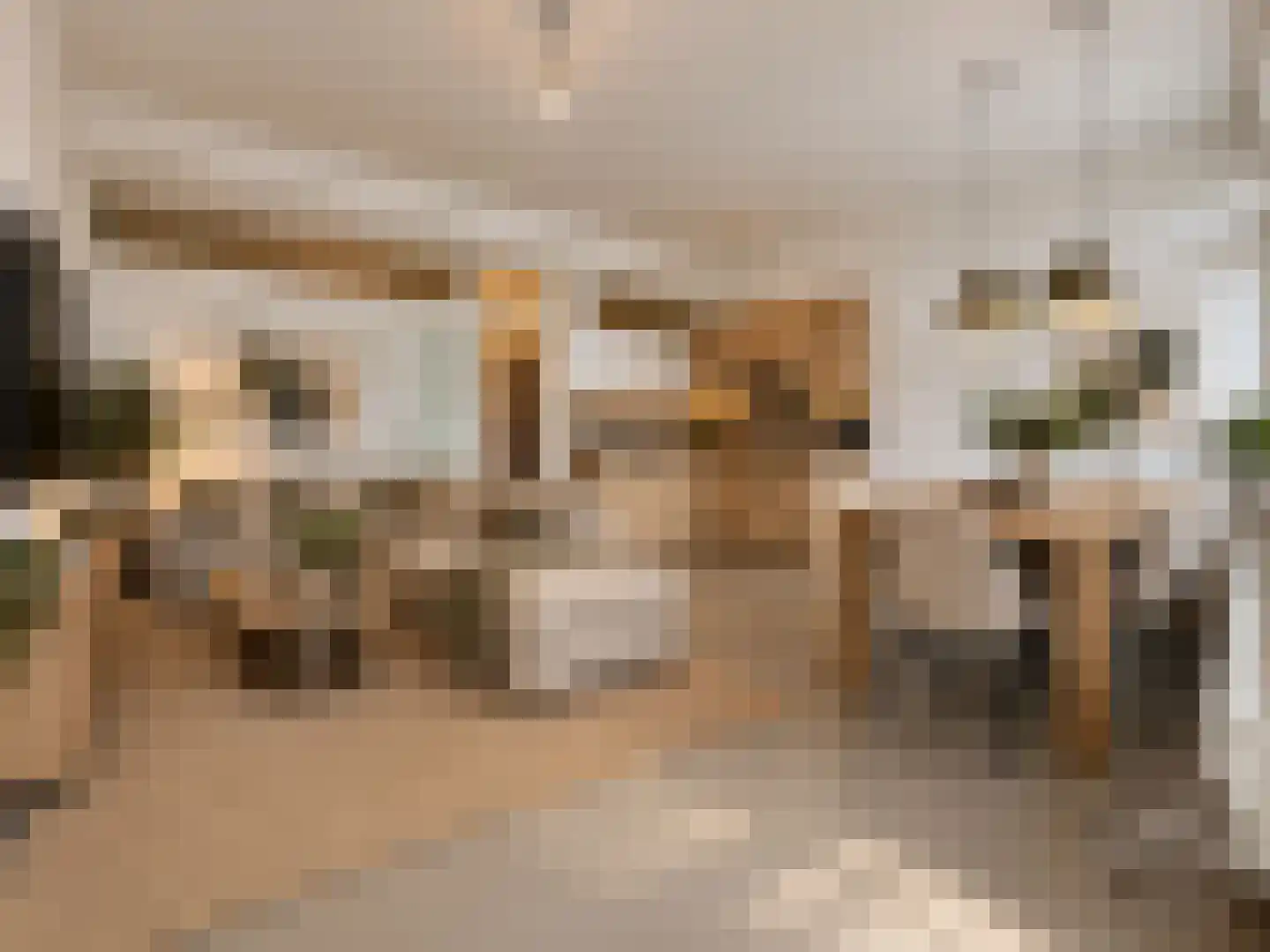 Ketelduinweg 1 A ap2 Petten thumbnail 4