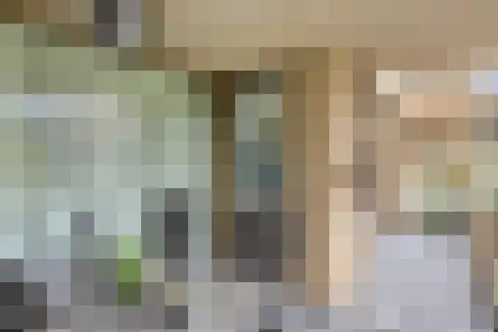 Ketelhavenplein 12 Tilburg thumbnail 13