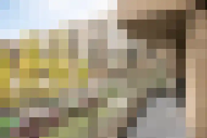 Ketelhavenplein 12 Tilburg thumbnail 14