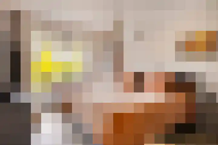 Ketelhavenplein 12 Tilburg thumbnail 16
