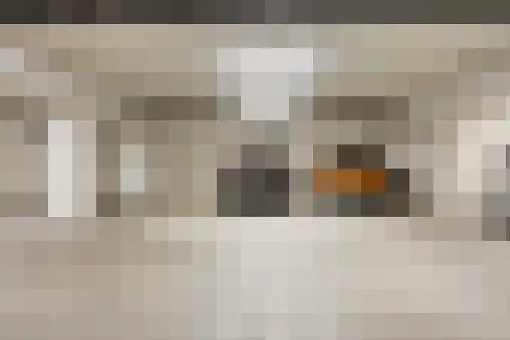 Ketelhavenplein 12 Tilburg thumbnail 26
