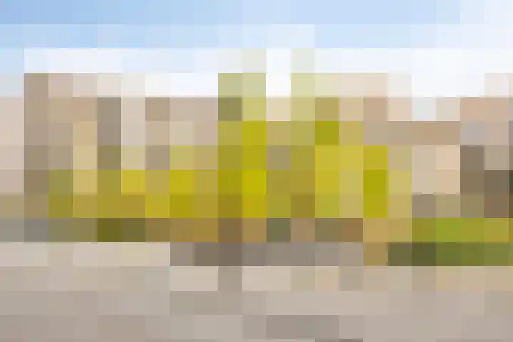 Ketelhavenplein 12 Tilburg thumbnail 30