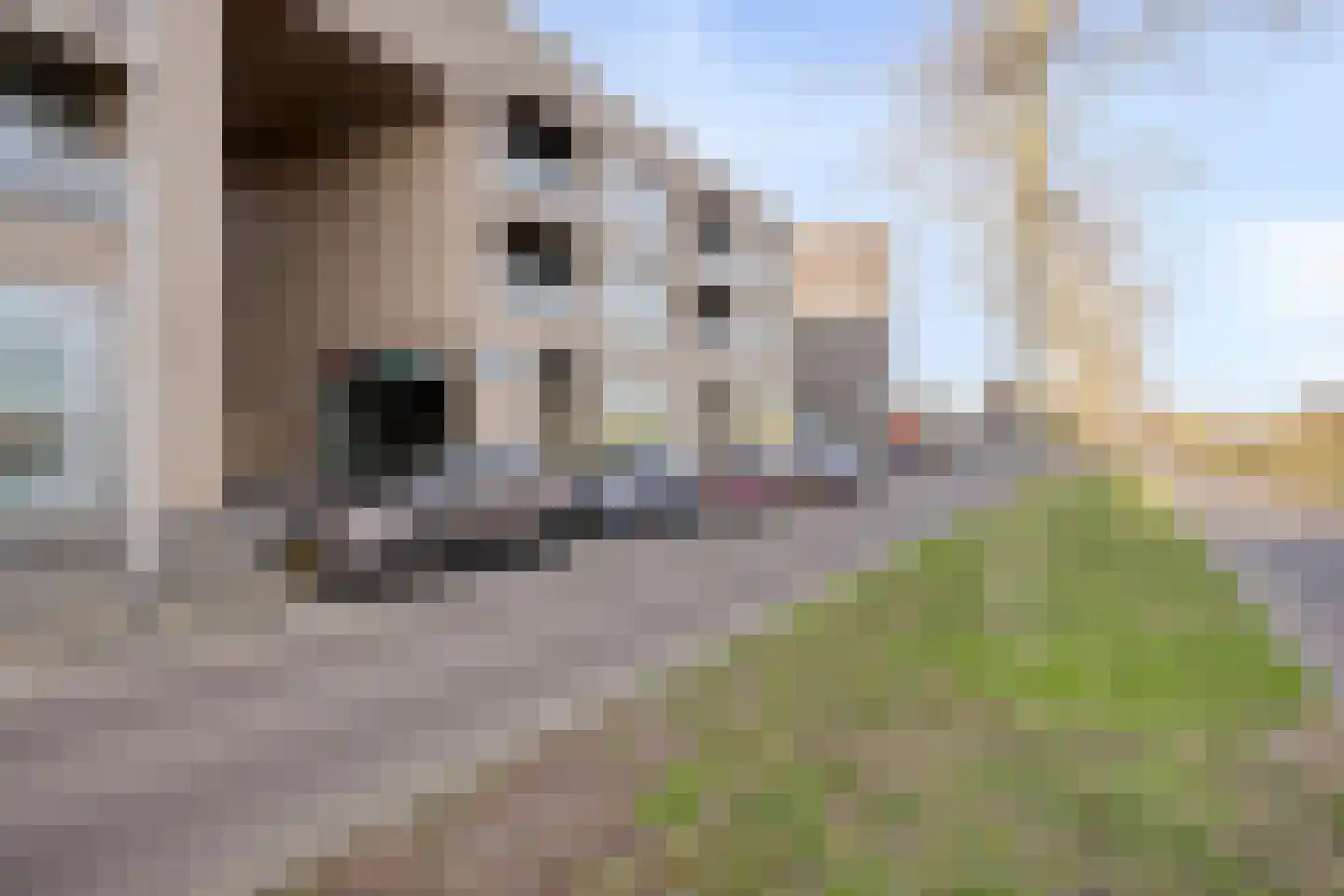 Ketelhavenplein 13 Tilburg thumbnail 8