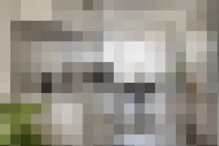 Ketelhavenplein 29 Tilburg thumbnail 12