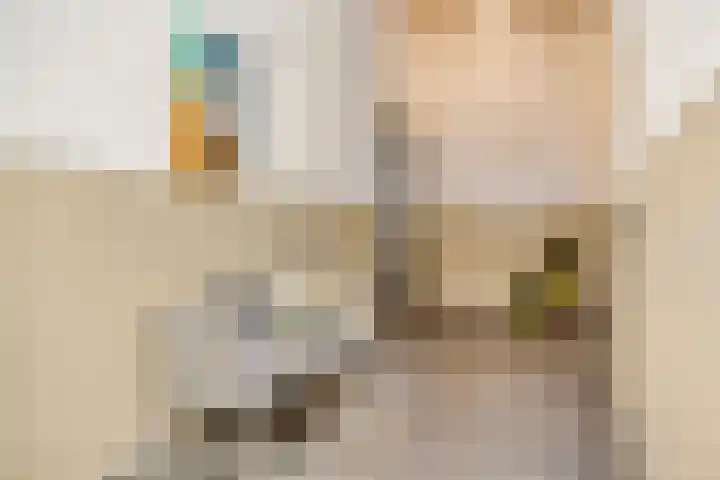 Ketelhavenplein 29 Tilburg thumbnail 33