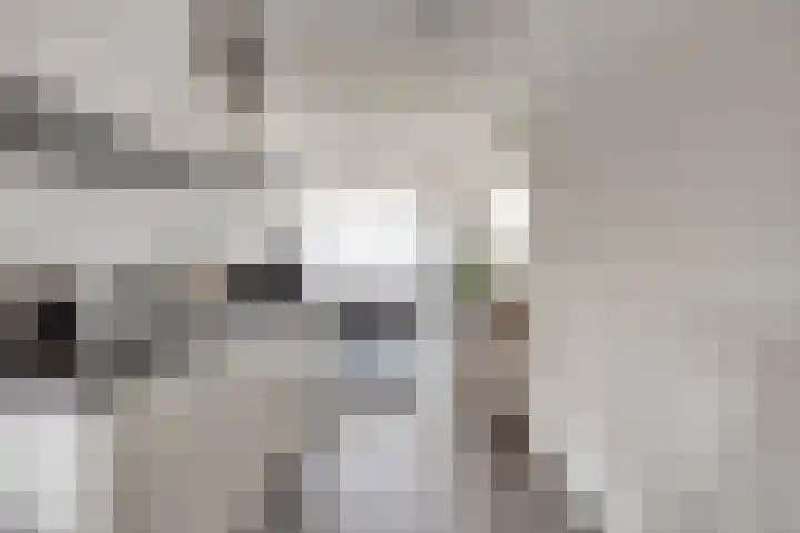 Ketelhavenplein 29 Tilburg thumbnail 9