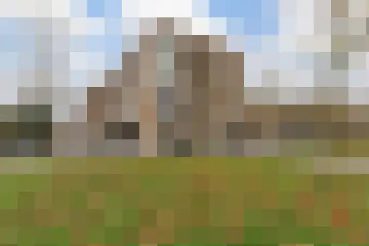 Ketelhavenplein 67 Tilburg thumbnail 44
