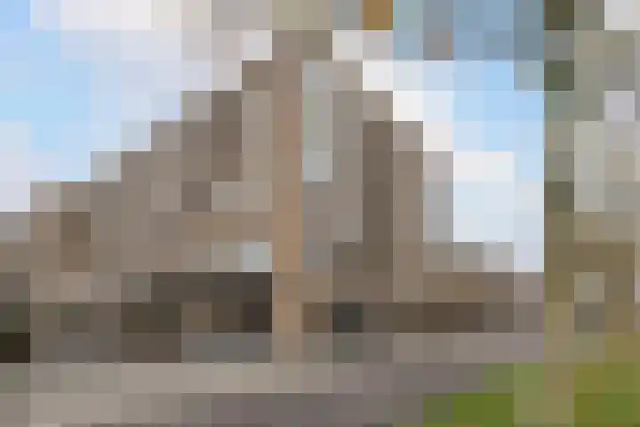 Ketelhavenplein 67 Tilburg thumbnail 46