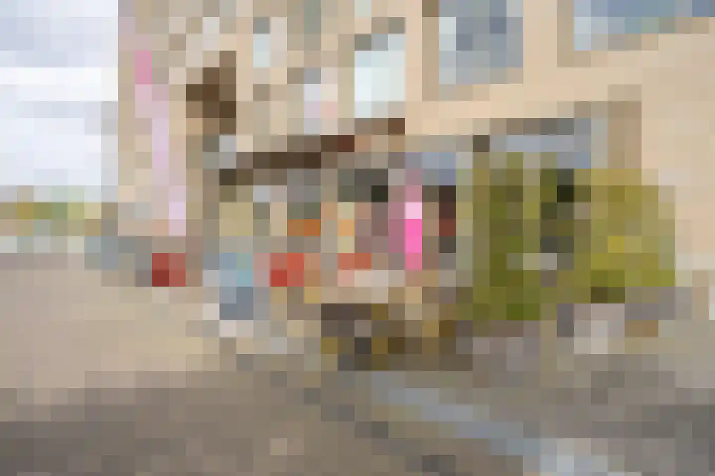 Ketelhavenplein 81 Tilburg thumbnail 25