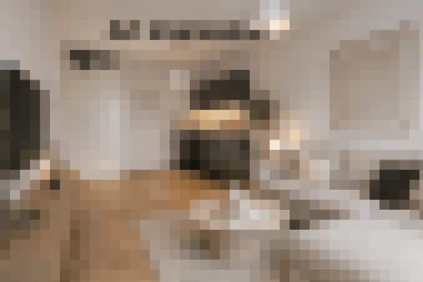 Ketelhavenplein 81 Tilburg thumbnail 6