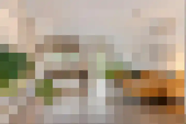 Ketelhuis 12 Oisterwijk thumbnail 5