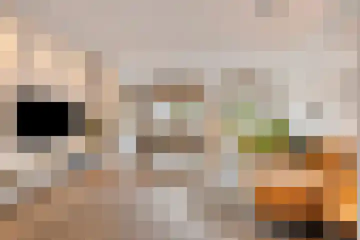Ketelhuis 12 Oisterwijk thumbnail 6