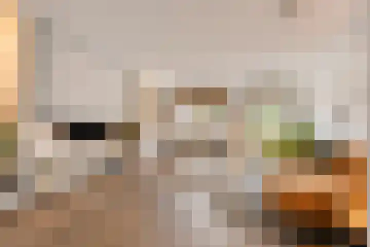 Ketelhuis 12 Oisterwijk thumbnail 7