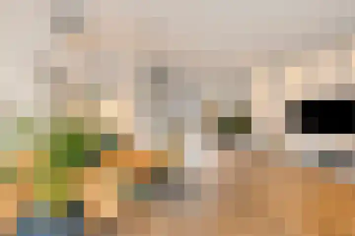 Ketelhuis 12 Oisterwijk thumbnail 8