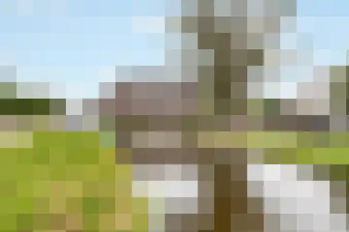 Ketelhuis 39 Aalsmeer thumbnail 30