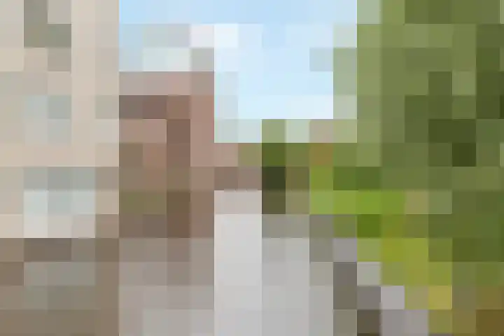 Ketelhuis 39 Aalsmeer thumbnail 31