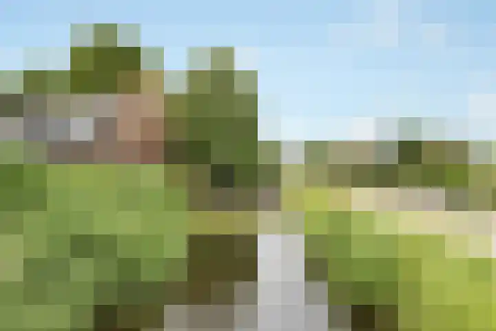 Ketelhuis 39 Aalsmeer thumbnail 32