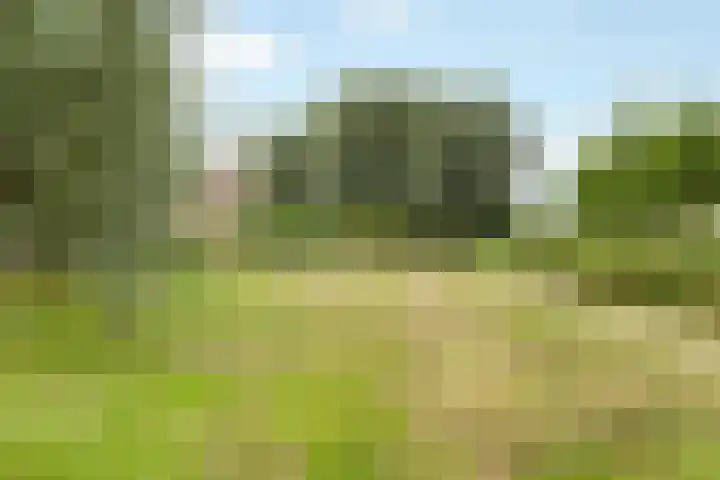 Ketelhuis 39 Aalsmeer thumbnail 33