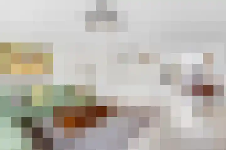 Ketelhuis 39 Aalsmeer thumbnail 8
