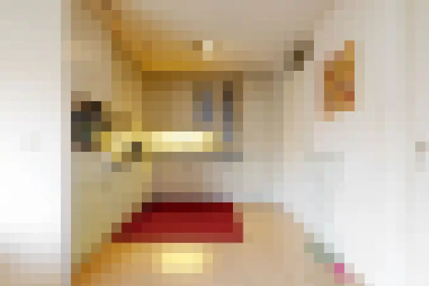 Ketelhuis 40 Aalsmeer thumbnail 14