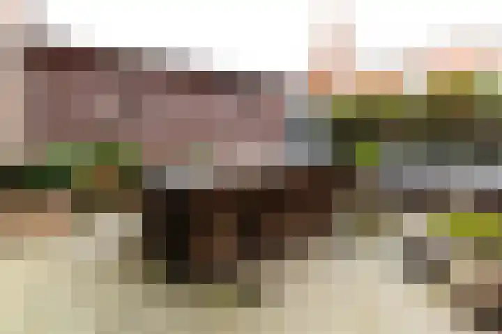 Ketelhuis 44 Aalsmeer thumbnail 30