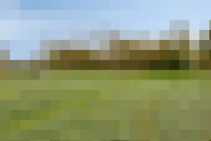 Ketelkade 101 Goes thumbnail 44