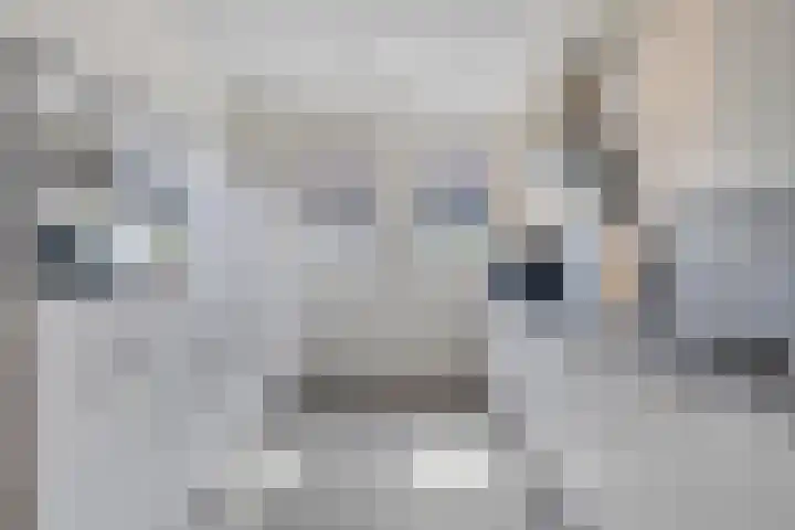 Ketelkade 139 Goes thumbnail 15