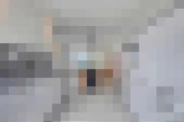 Ketelkade 139 Goes thumbnail 16