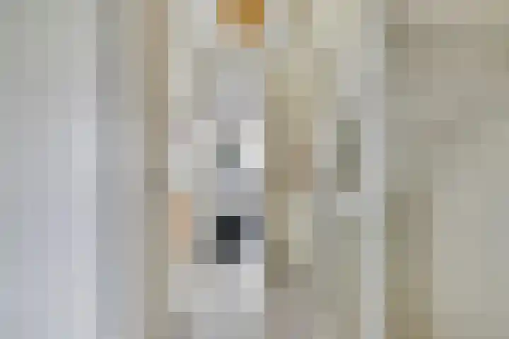 Ketelkade 139 Goes thumbnail 17