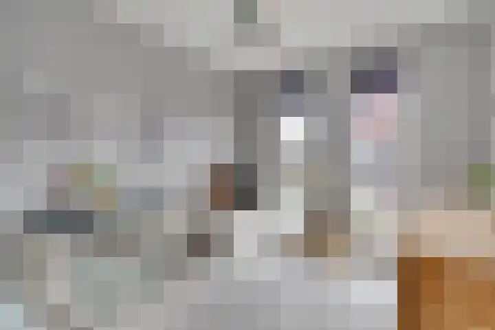 Ketelkade 139 Goes thumbnail 19