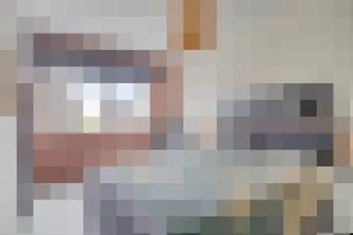 Ketelkade 139 Goes thumbnail 24