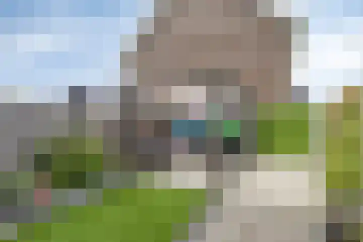 Ketelkade 139 Goes thumbnail 34