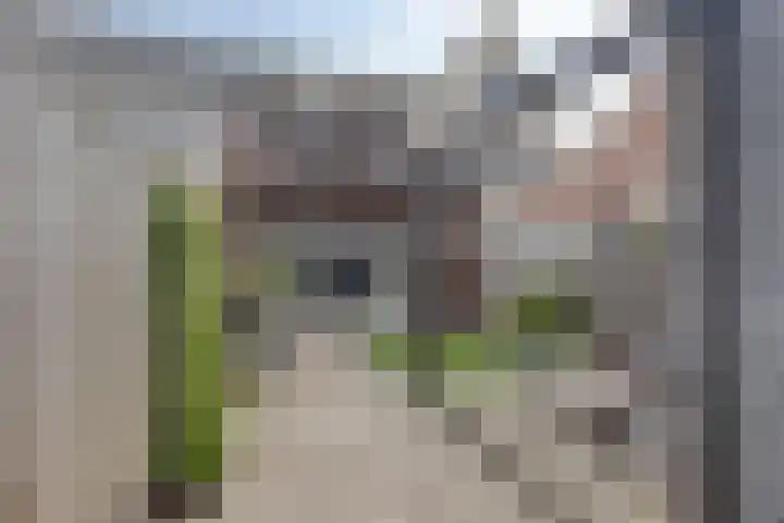 Ketelkade 139 Goes thumbnail 36