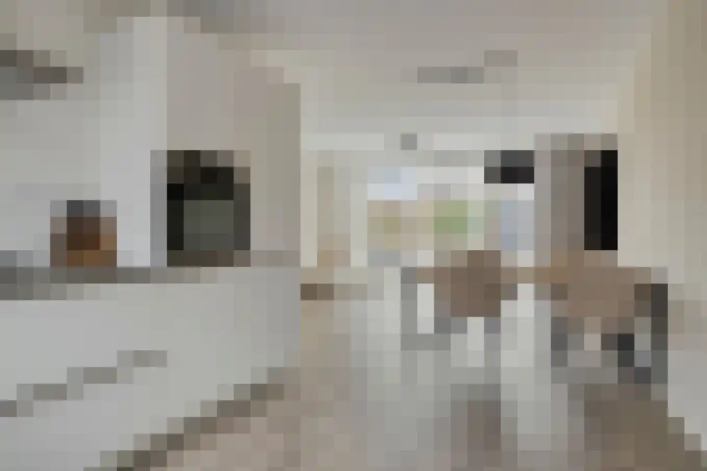 Ketelkade 163 Goes thumbnail 14