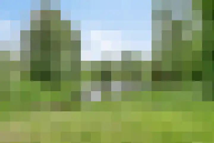 Ketelkade 33 Goes thumbnail 28
