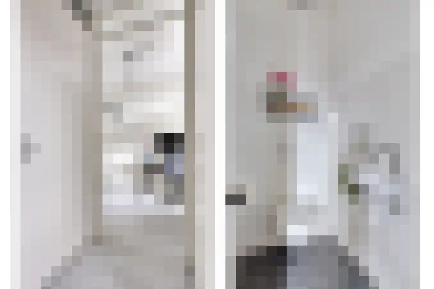 Ketelkade 37 Goes thumbnail 11