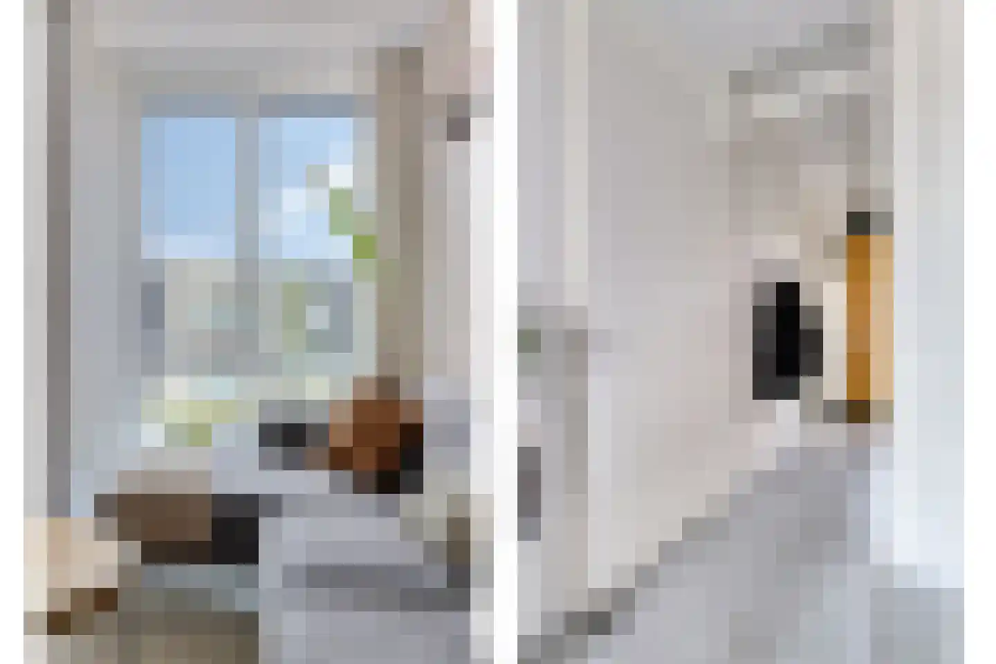 Ketelkade 37 Goes thumbnail 12