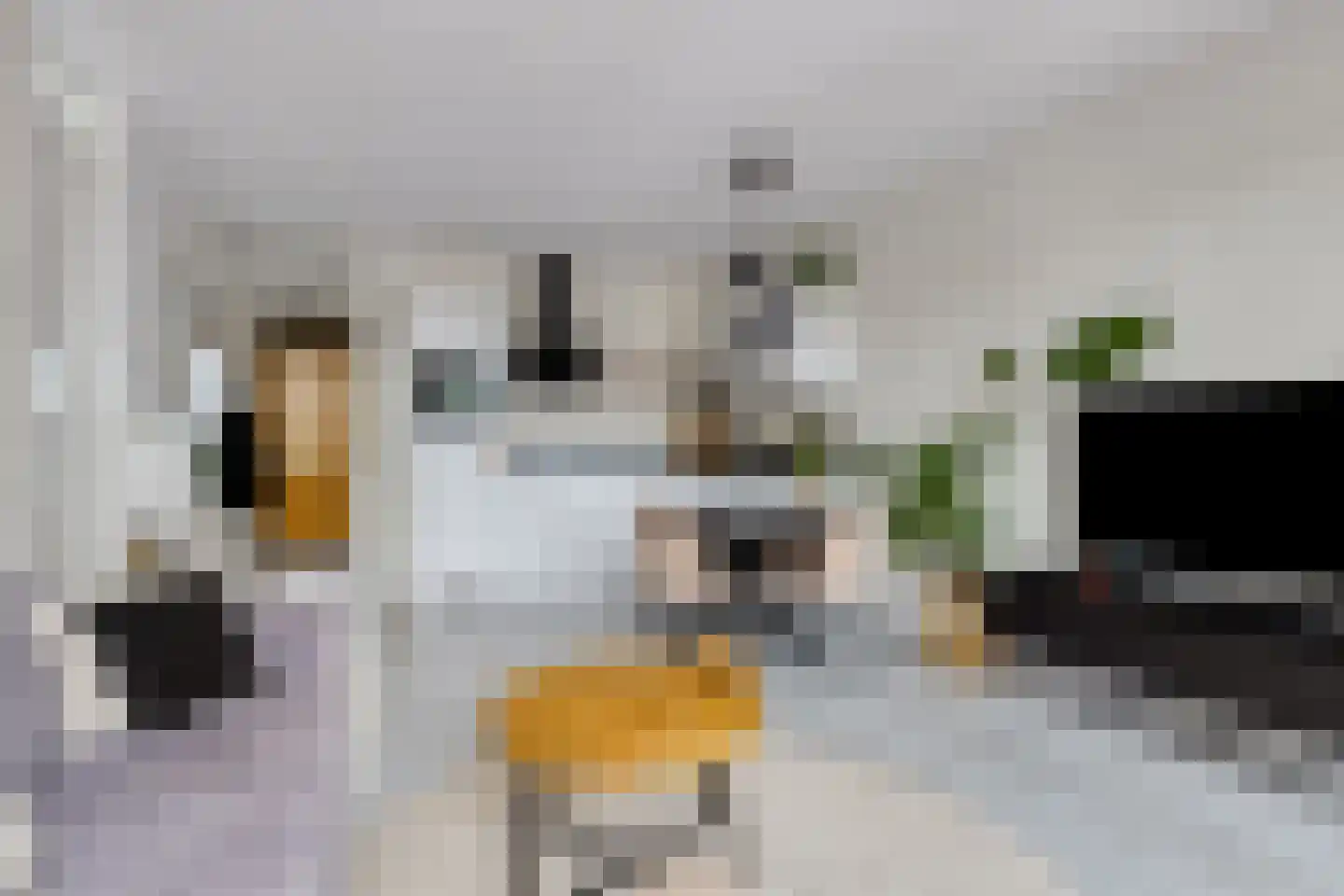Ketelkade 37 Goes thumbnail 13