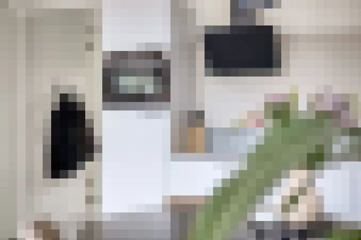 Ketelkade 37 Goes thumbnail 19